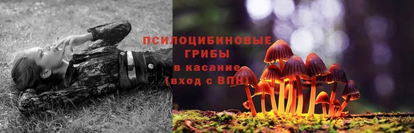 герыч Аркадак