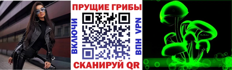 Псилоцибиновые грибы прущие грибы  Купить  Старая Русса 